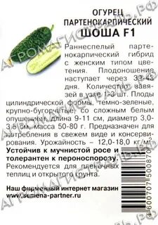 Огурцы шоша посадка и уход