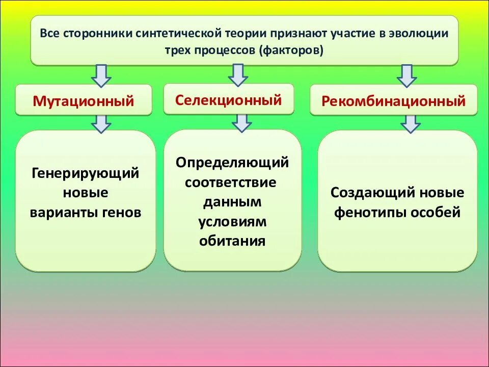 Единицей эволюционного процесса является особь