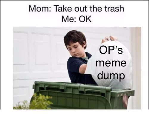 Take out the Trash. Dump Мем. Take out. I Dump the Trash. Take the out please