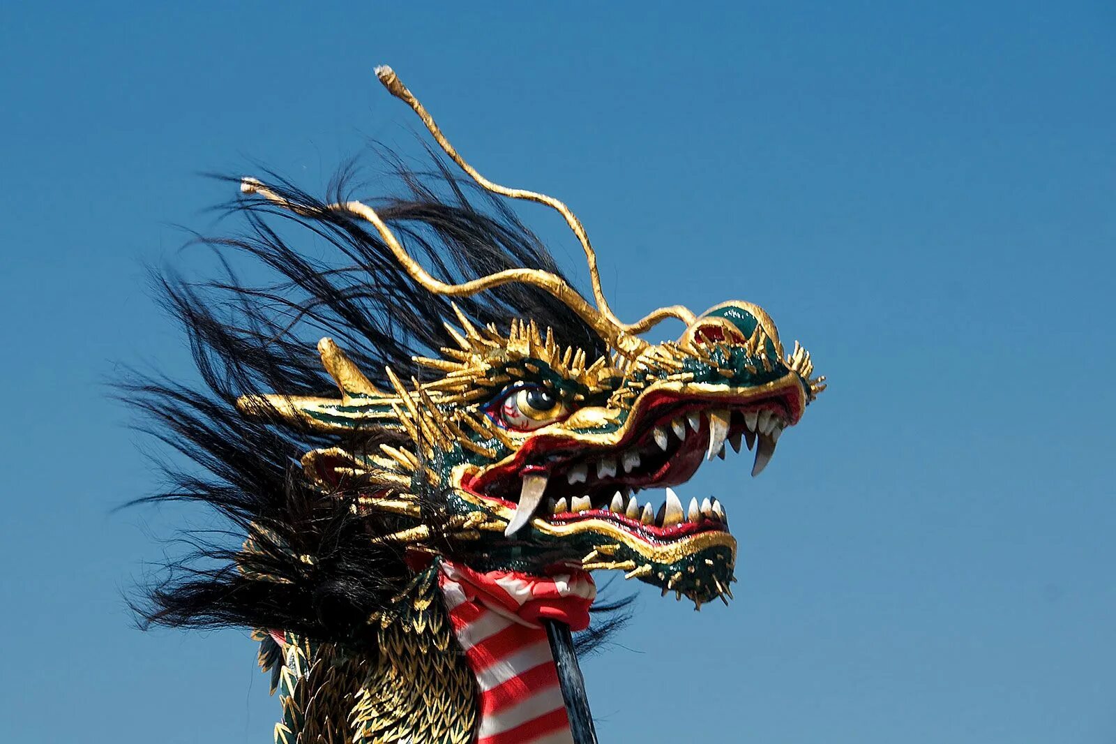 Asian dragon fest 2024. Китайский дракон. Китайский дракон фестиваль. Фестивальный дракон. Зубы китайского дракона.