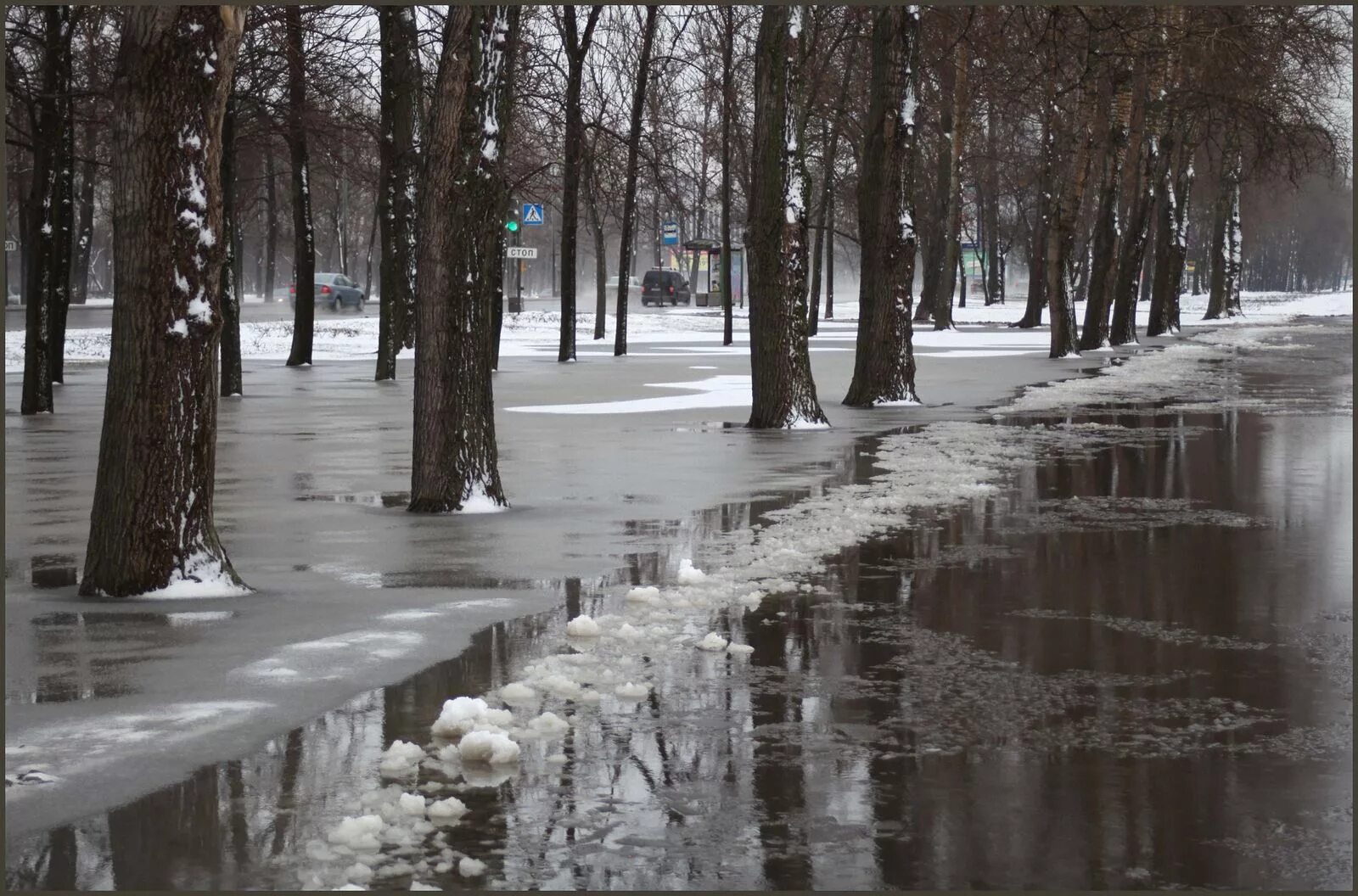 Потепление в январе. Оттепель. Оттепель зимой. Таяние снега в Москве. Оттепель тает снег.