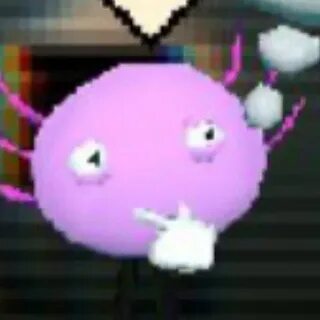 Kinitopet meme