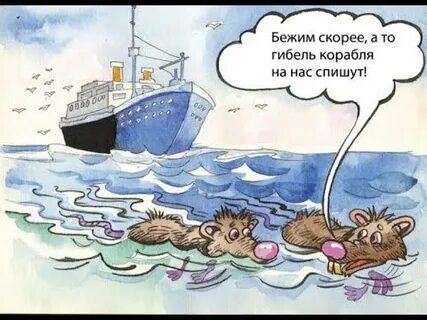 i?id=341fcd5c81563f68f9df12deaac32e4b002e6658-5432883-images-thumbs&n=13