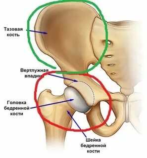 Бок возле таза