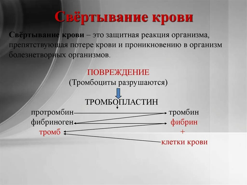 Функция свертывания крови выполняют. Протромбин тромбопластин тромбин фибриноген. Тромбин свертывание крови. Свертывание крови это защитная реакция организма.