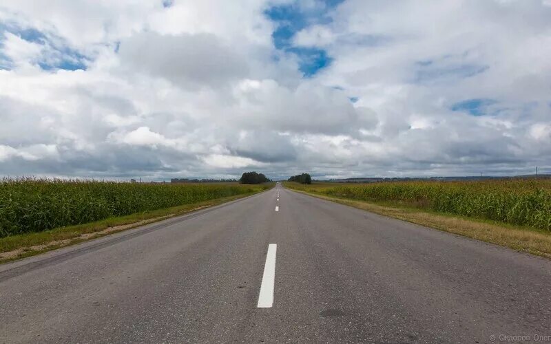 белая зимняя дорога. бел автодороги. белорусские дороги качество. р-98 дорога беларусь. хорошей дороги.