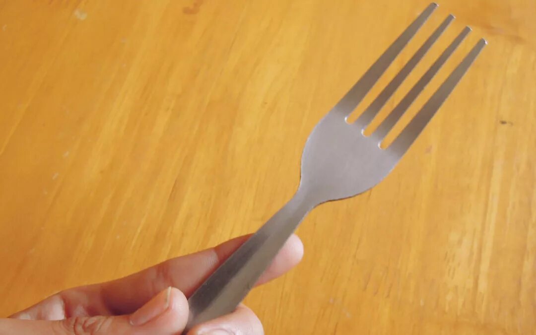 Cannot fork. Fork. gurdian fork. fork teaser. frenxh fork.