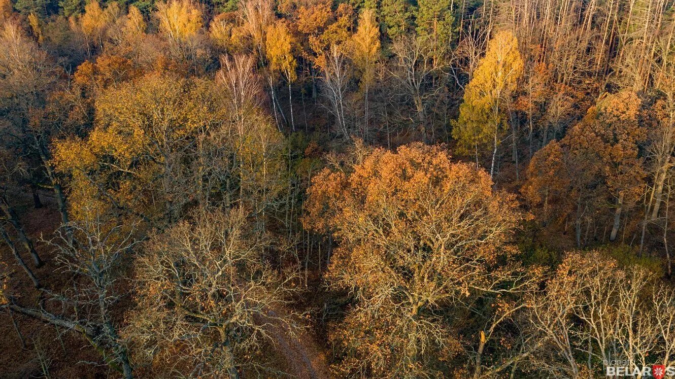 Республиканские заказники. Республиканские заказники