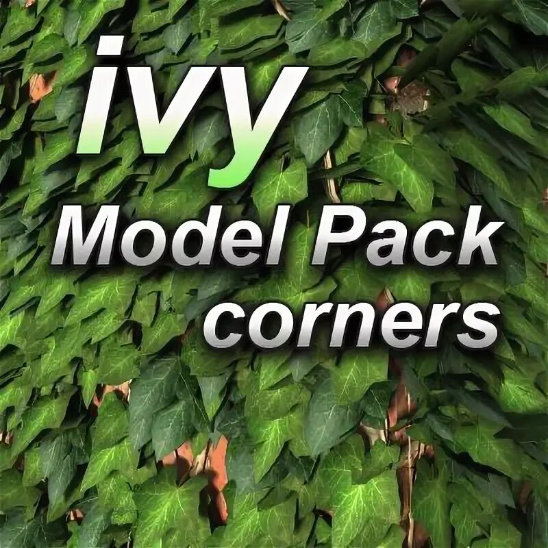 Ivy model. Ivy model