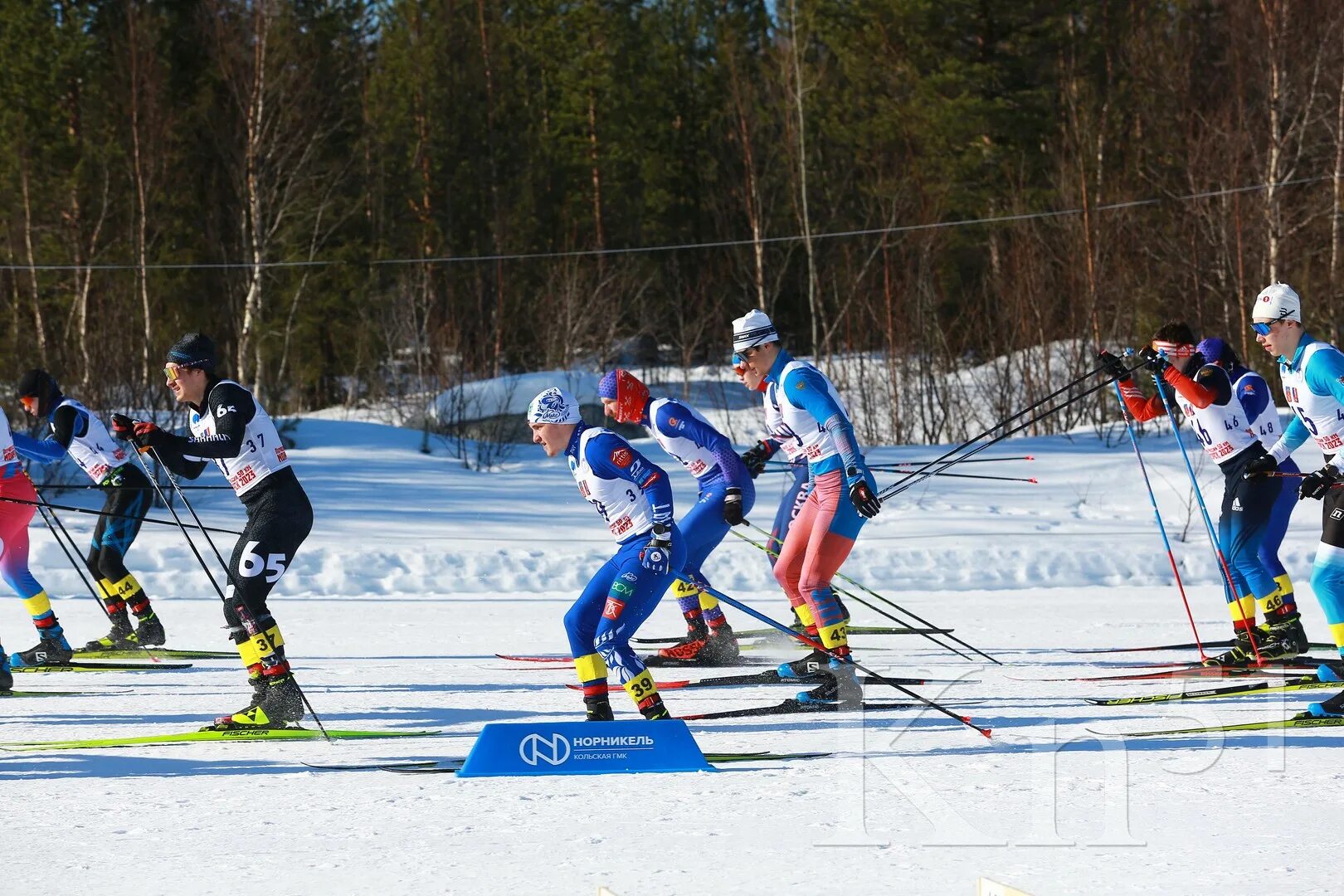 Мончегорск марафон 70 км. Лыжные гонки. Чемпионат по лыжным гонкам. Лыжи фото. Лыжники за городом.