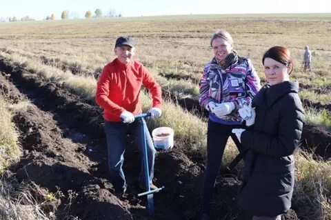 Погода в соколовском