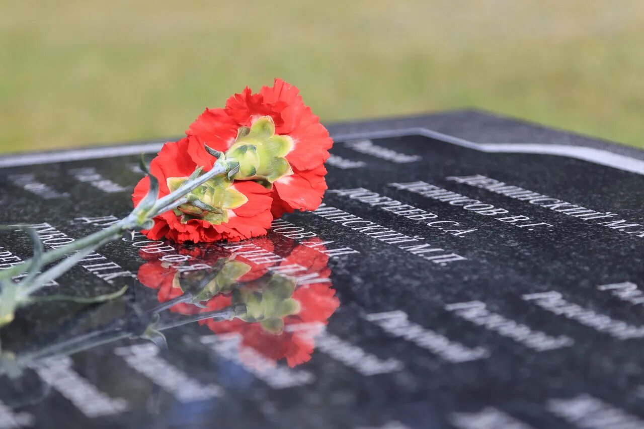 Освобождение памяти с. 17 Сентября день освобождения Брянщины. Возлагает цветы на кладбище. Военные мемориалы в Брянске. Возложение цветов к памятнику Брянск.