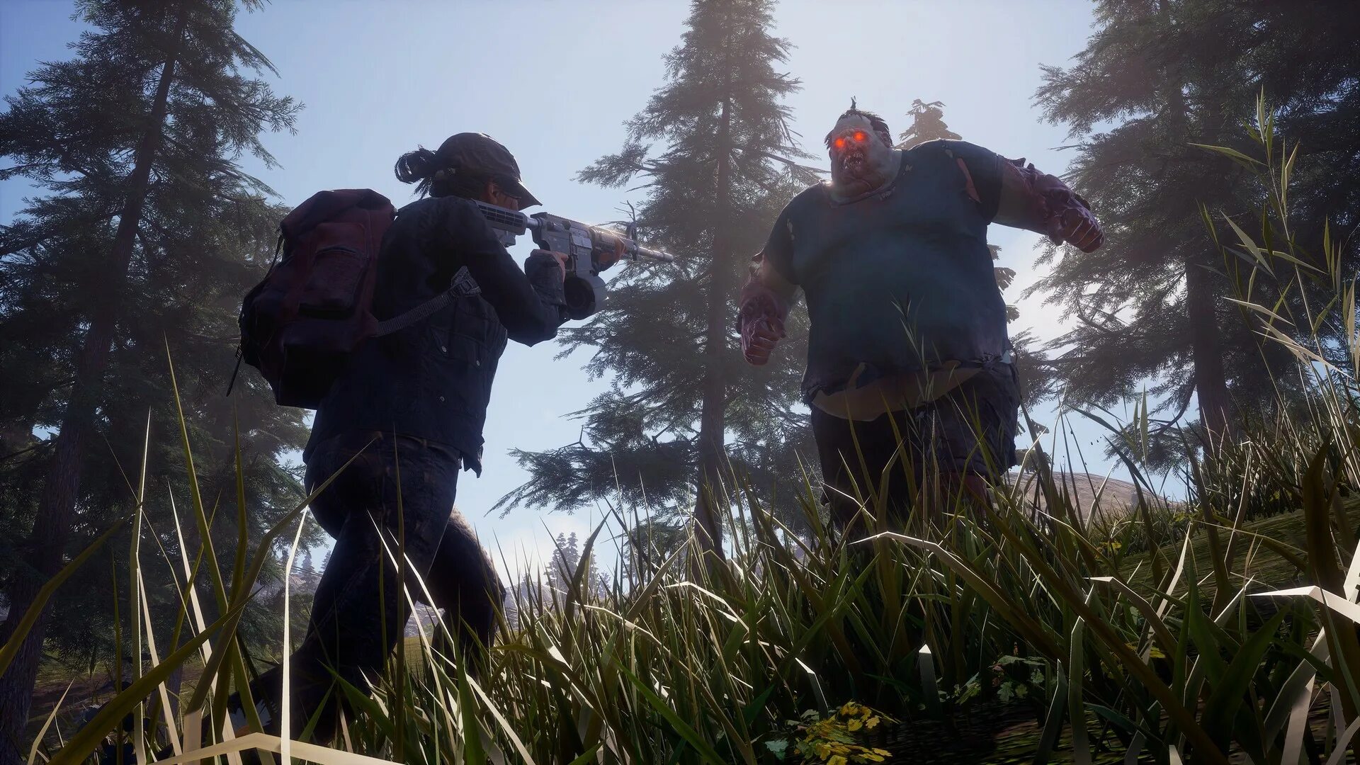 Суть игры 4 20. State of Decay 2.