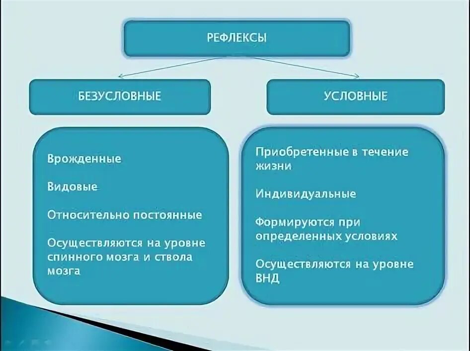 Условные и безусловные рефлексы. Условно рефлекторная память. Безусловная и условная регуляция.