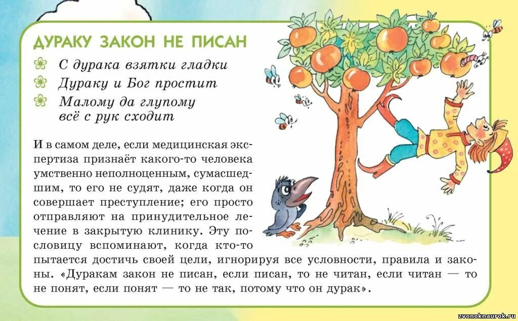 Дурак дураком значение фразеологизма. Дуракам закон не писан. поговорка дуракам закон не писан если. дуракам закон не писан значение пословицы. пословица дуракам закон не писан.