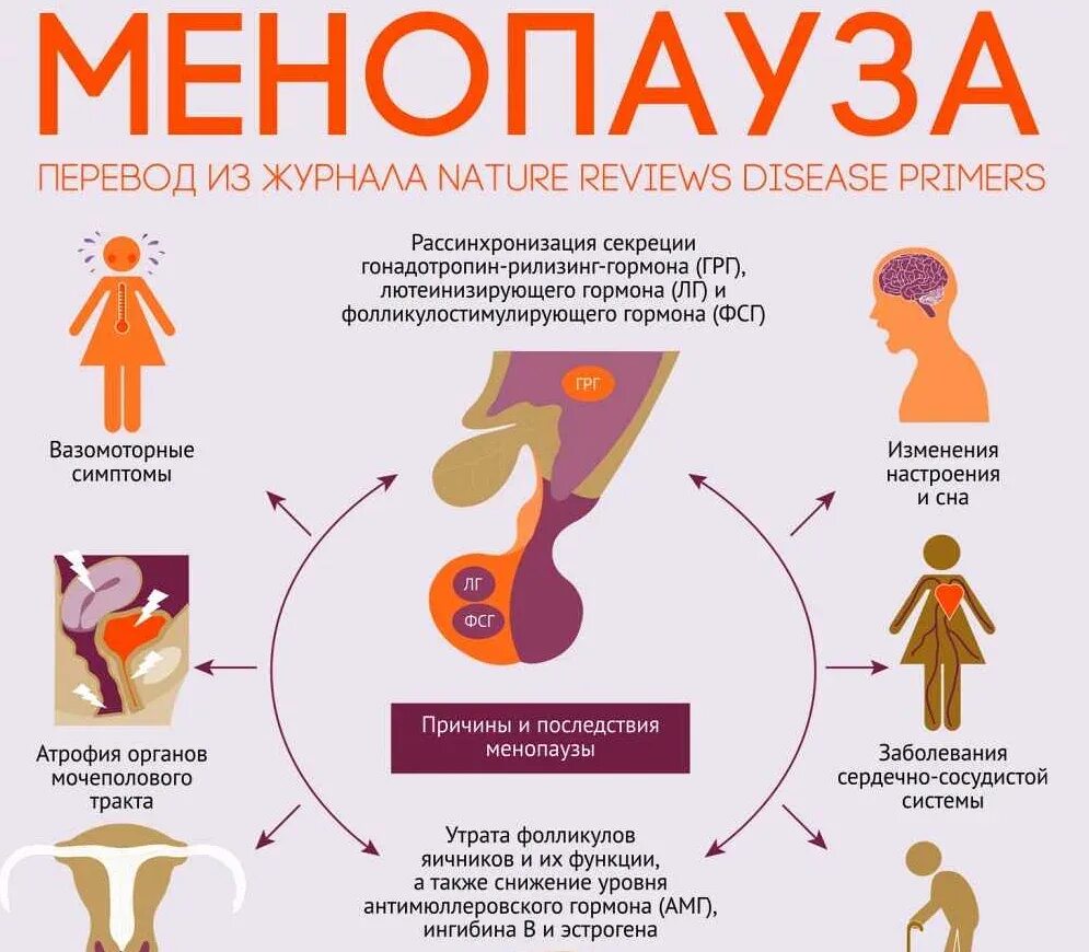 Причины прийти. Климактерический синдром симптомы. Климакс. Менопауза-это у женщин. Когда наступает менопаузы у женщин.