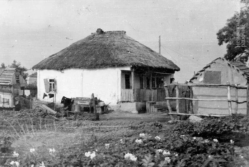 Донские казаки 20 века. Казаки станица крымская 19 век. Кубанские казаки 19 век. Костюм кубанской казачки 19 века. Кубань армавир станица прочноокопская.