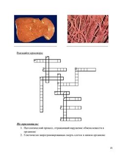 Патология ответы