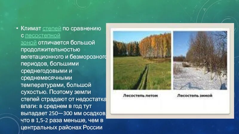 Климат степи. Лесостепная зона климат. Климатические условия лесостепи. Лесостепь зимой и летом. Климат степей и лесостепей в россии