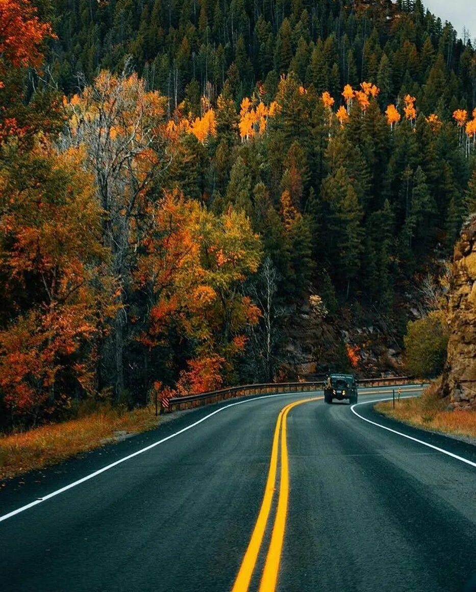 Красивая дорога видео. Дорога в осень. Осенняя дорога в горах. Дорога в гору. Красивая дорога.