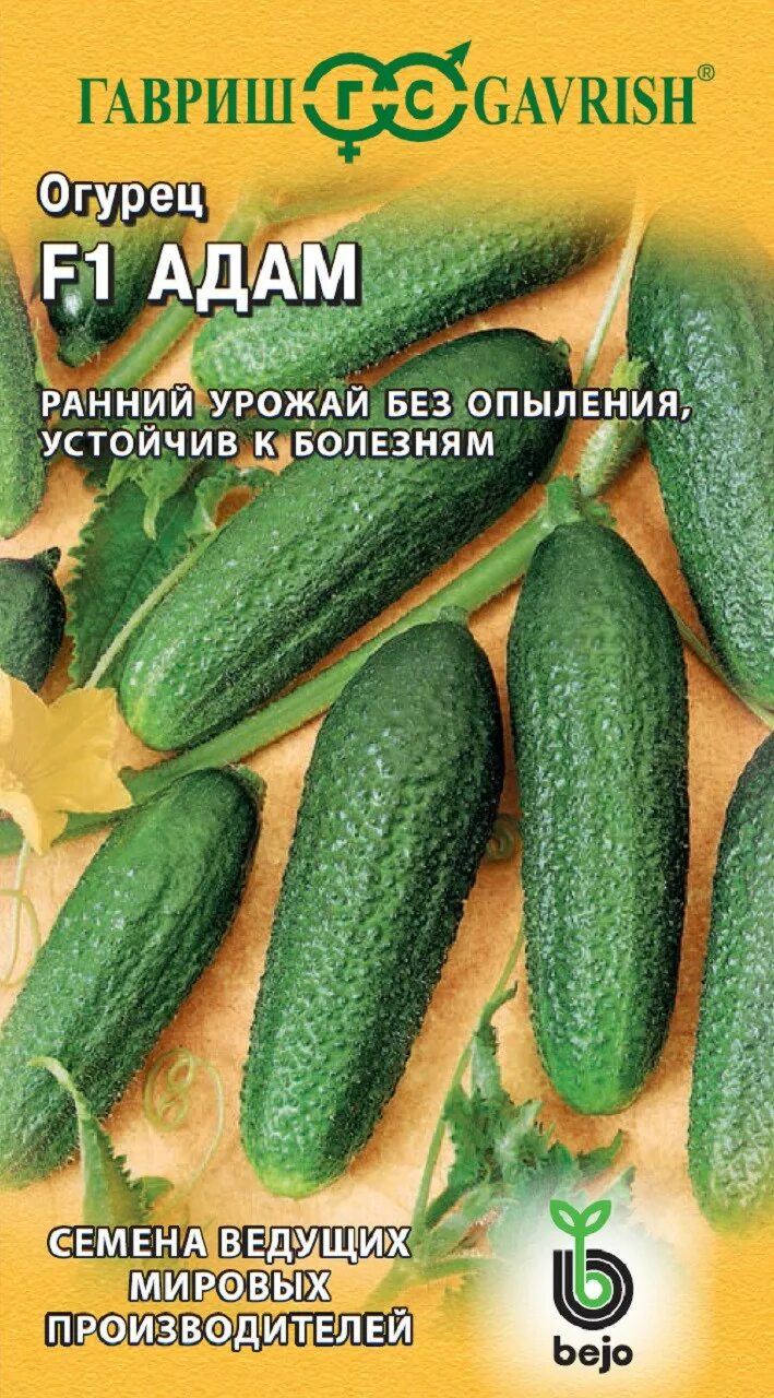Семена-огурец F1 Адам 5шт. Садовита 179649543 купить за 148 ₽ в интернет-магазин