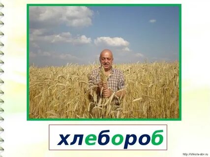 Хлебороб это