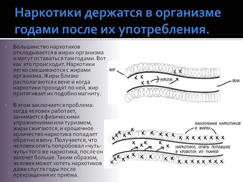 Сколько держится отпечаток. Вывод наркотиков из организма. Сколько наркотики выводятся из ор. Сколько выводится наркотик из организма. Сколько времени выводятся наркотики из организма.