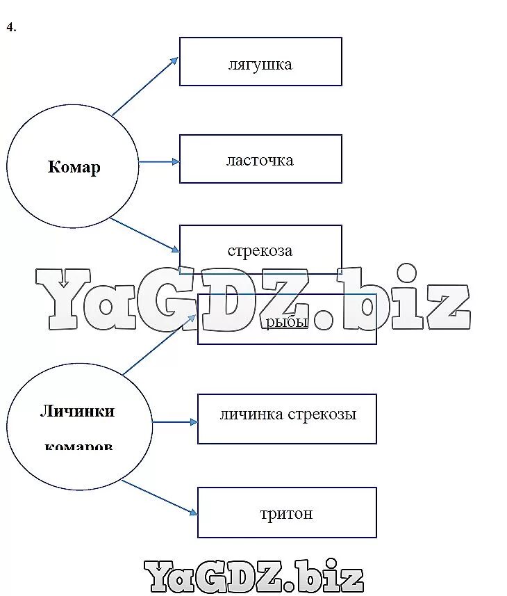 Используя сведения из учебника впишите в схемы. Используй сведения из учебника впишите в схемы названия животных. Схема кто питается комарами и их личинками. Впишите в схему.