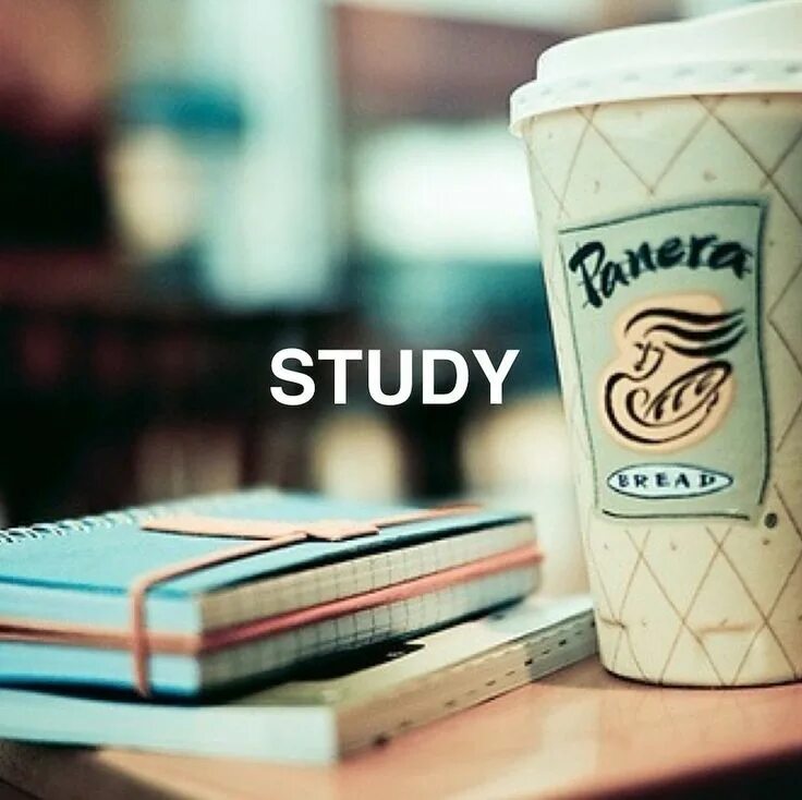 You can study good. Starbucks study. Старбакс и учеба. Старбакс мотивация. Study time.