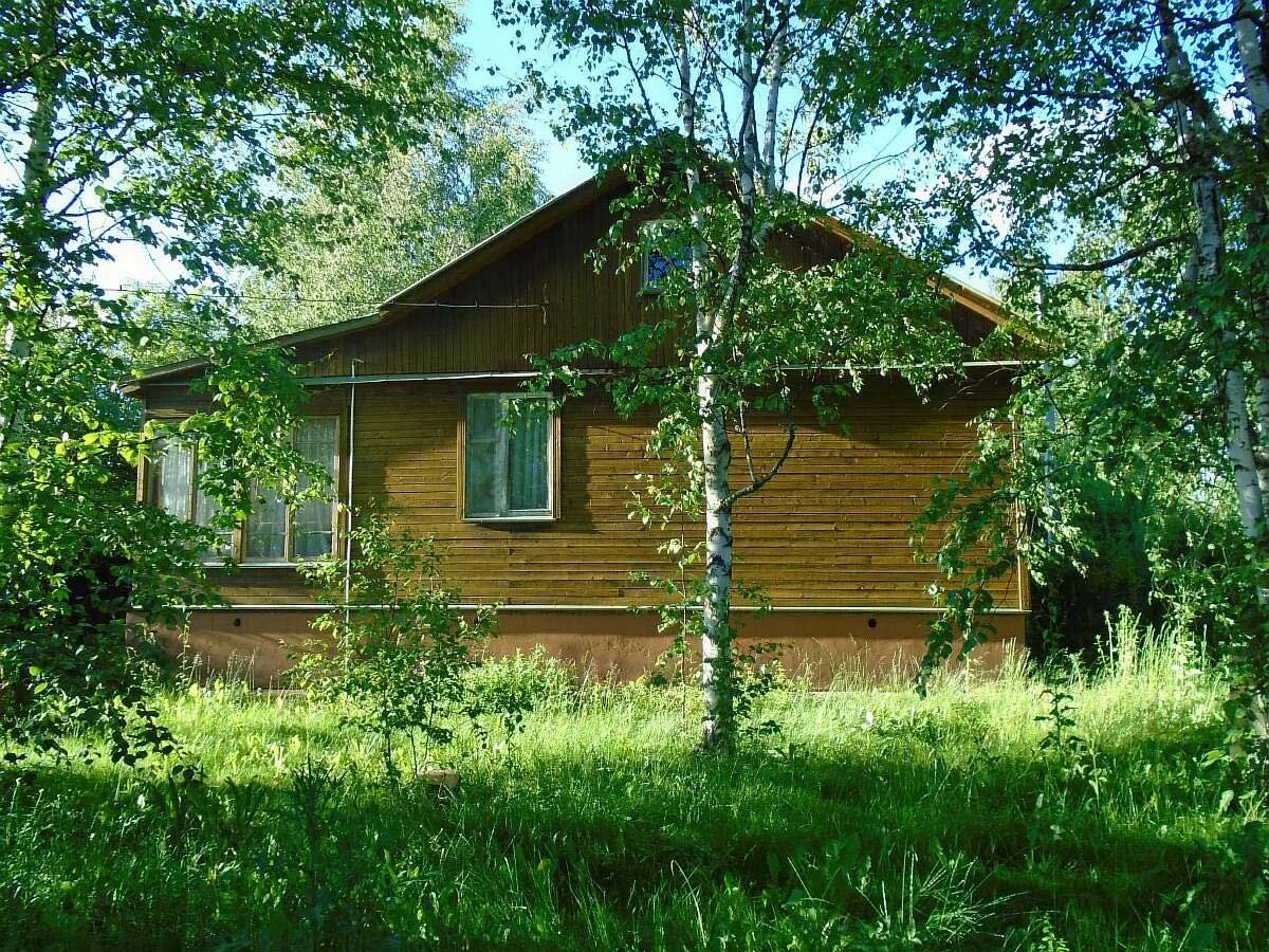 Землетека наро-фоминск. Деревня шапкино. Шапкино парк наро-фоминский. Погода в шапкино наро фоминский. Деревня шапкино.