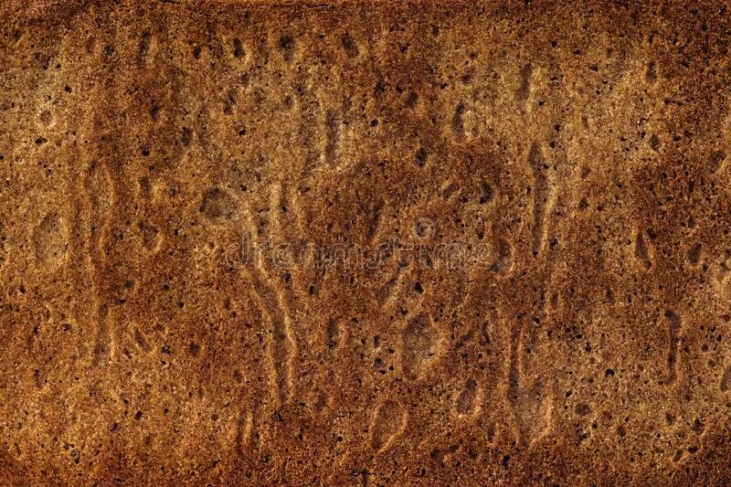 3д модели еды. Бисквит текстура. Bake texture. Текстура поджаренного мяса. Старый мусорный контейнер текстура.