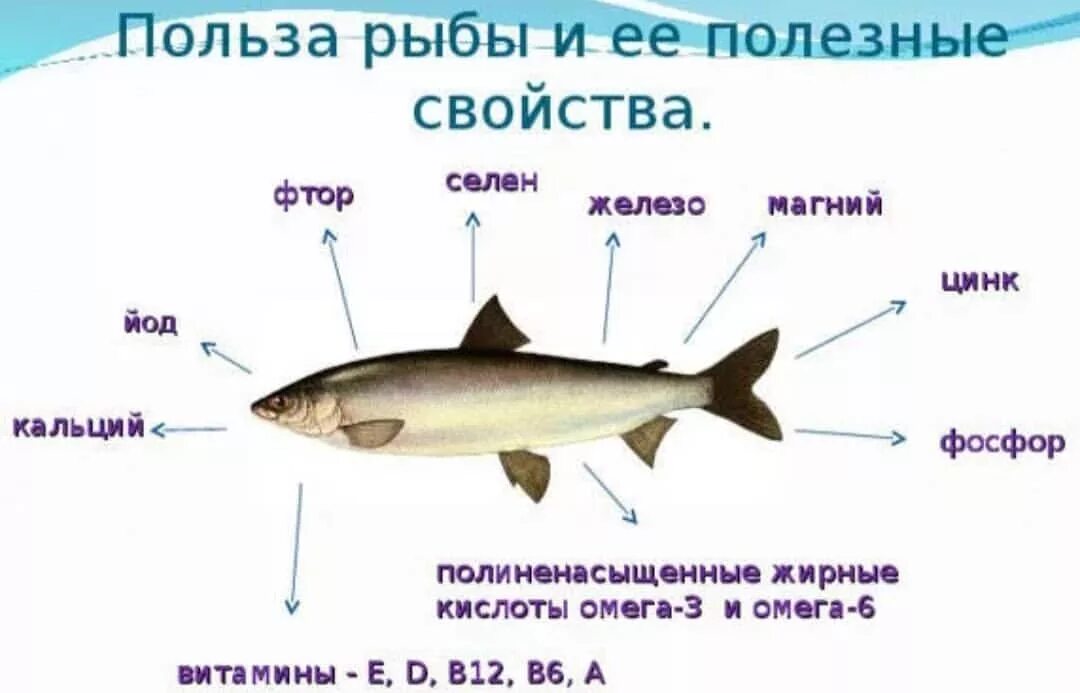 Чем богата рыба