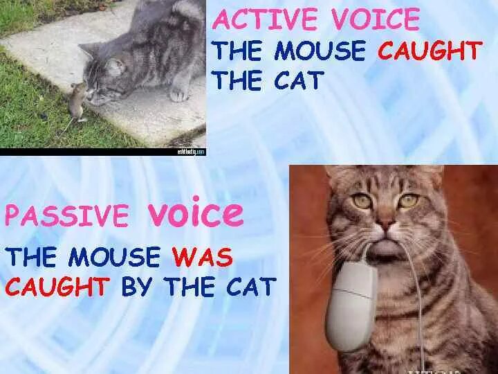 Passive Voice надпись. Passive Voice картинки. Passive Voice смешные картинки. Passive Voice Мем. Meme voice