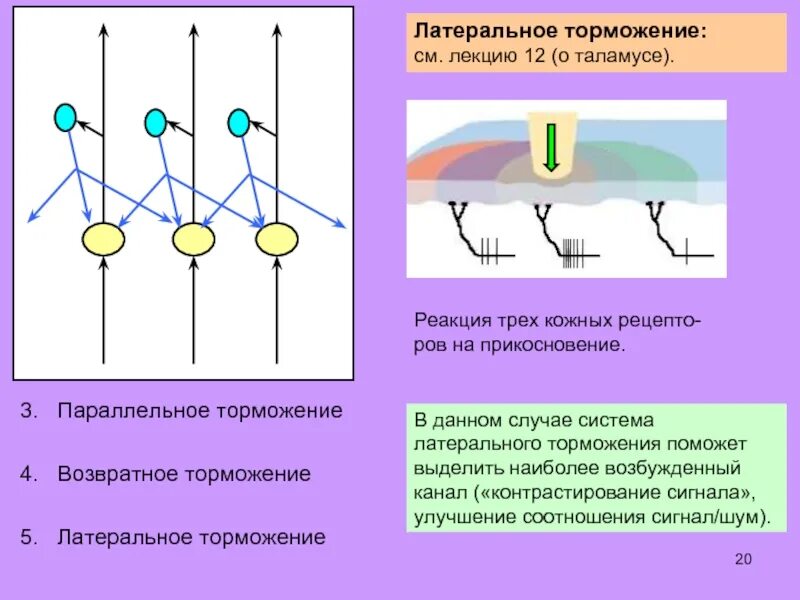 Параллельное торможение. Параллельное торможение схема. Параллельное торможение пример. Возвратное торможение