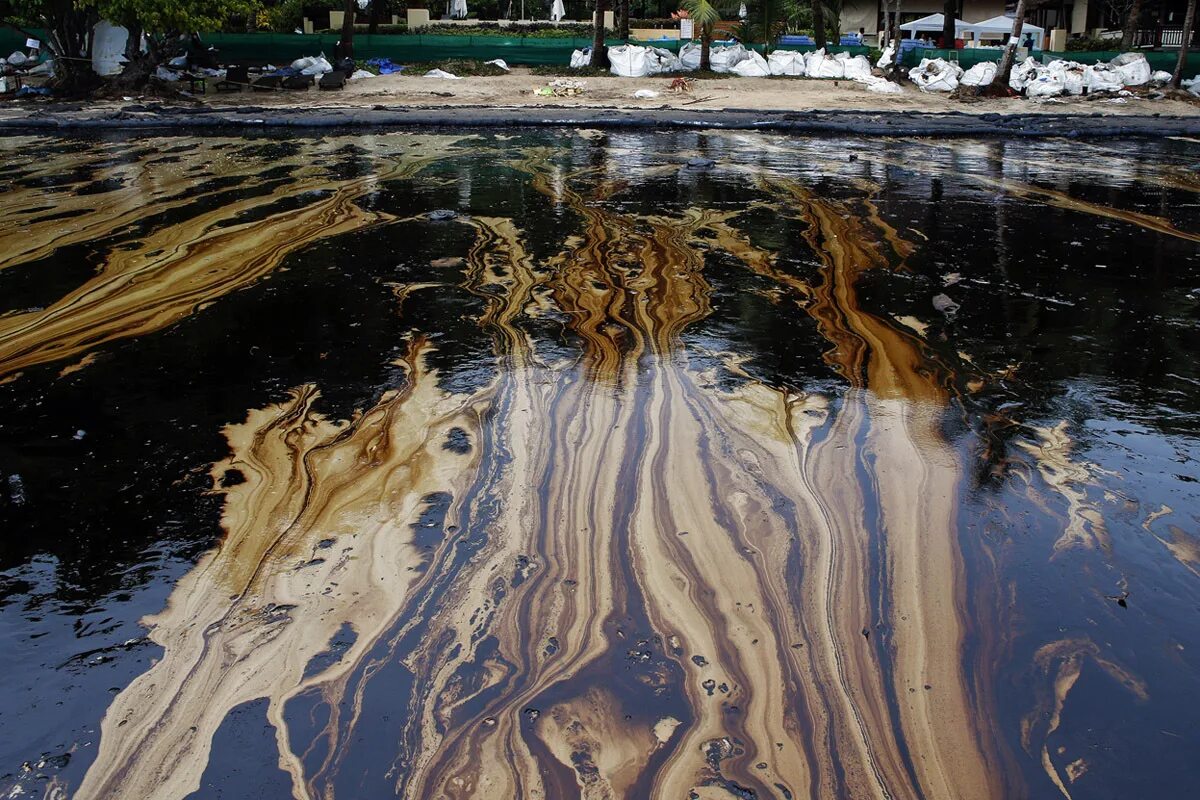 В небольшом водоеме образовавшемся после разлива реки. Загрязнение воды. Нефтяное загрязнение воды. Разлив нефти. Загрязнение нефтью и нефтепродуктами.