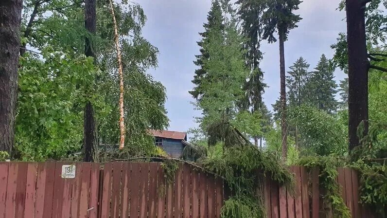 мчс по ленинградской области всеволожский район сотрудники. школа 7 всеволожск заминировали. всеволожск микрорайон южный пожар. чрезвычайное происшествие. взрыв на добровольского всеволожск.