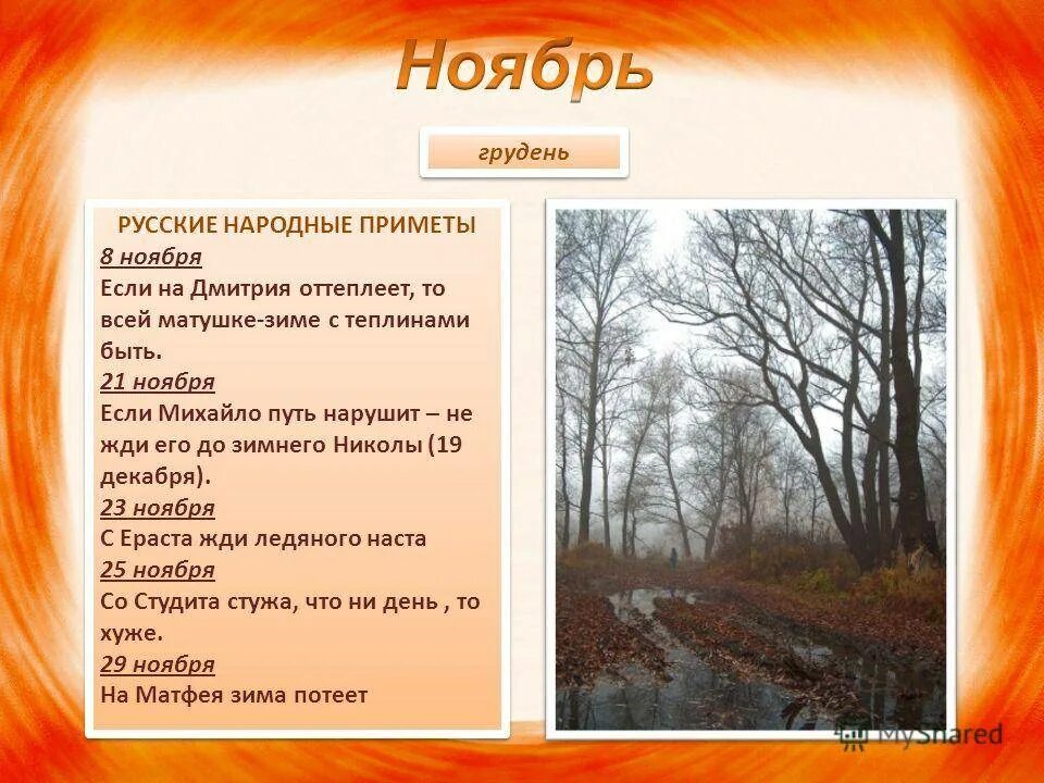 Пятый месяц в году. Календарь природы осень. приметы ноября. осенние месяцы приметы. народные приметы осени.