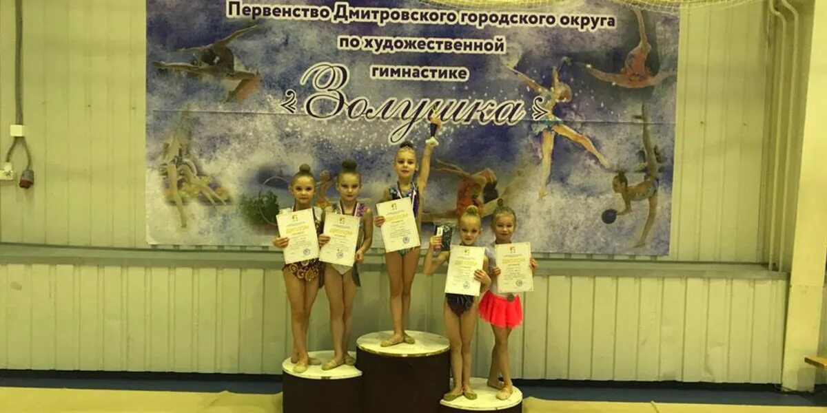 Спортивная гимнастика электросталь соревнования. Художественная гимнастика грейс. Сборная гимнастов электросталь. Соревнования по художественной гимнастике электросталь. Художественная гимнастика электросталь.