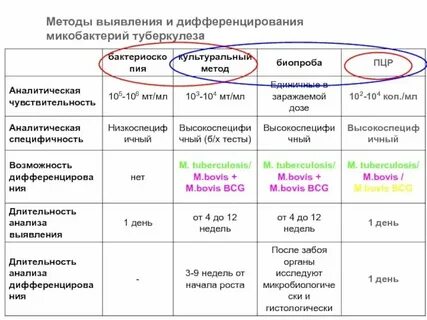 Пцр на микобактерии туберкулеза