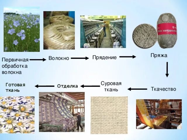 Растение для производства ткани. Лён производство ткани. Стадии обработки льна. Этапы переработки льна. Производство ткани из льна последовательность.