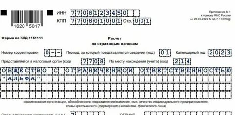 Сдача рсв в 2023