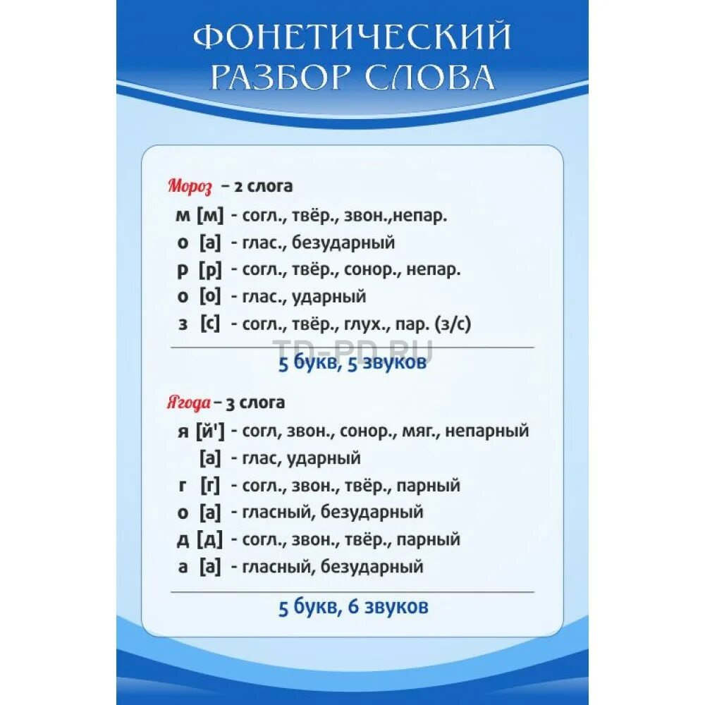 Фонетический разбор. Фанетически разбор Слава. Звукобуквенный разбор слова. Фонетический разбор 5 класс. Живет фонетический разбор 5