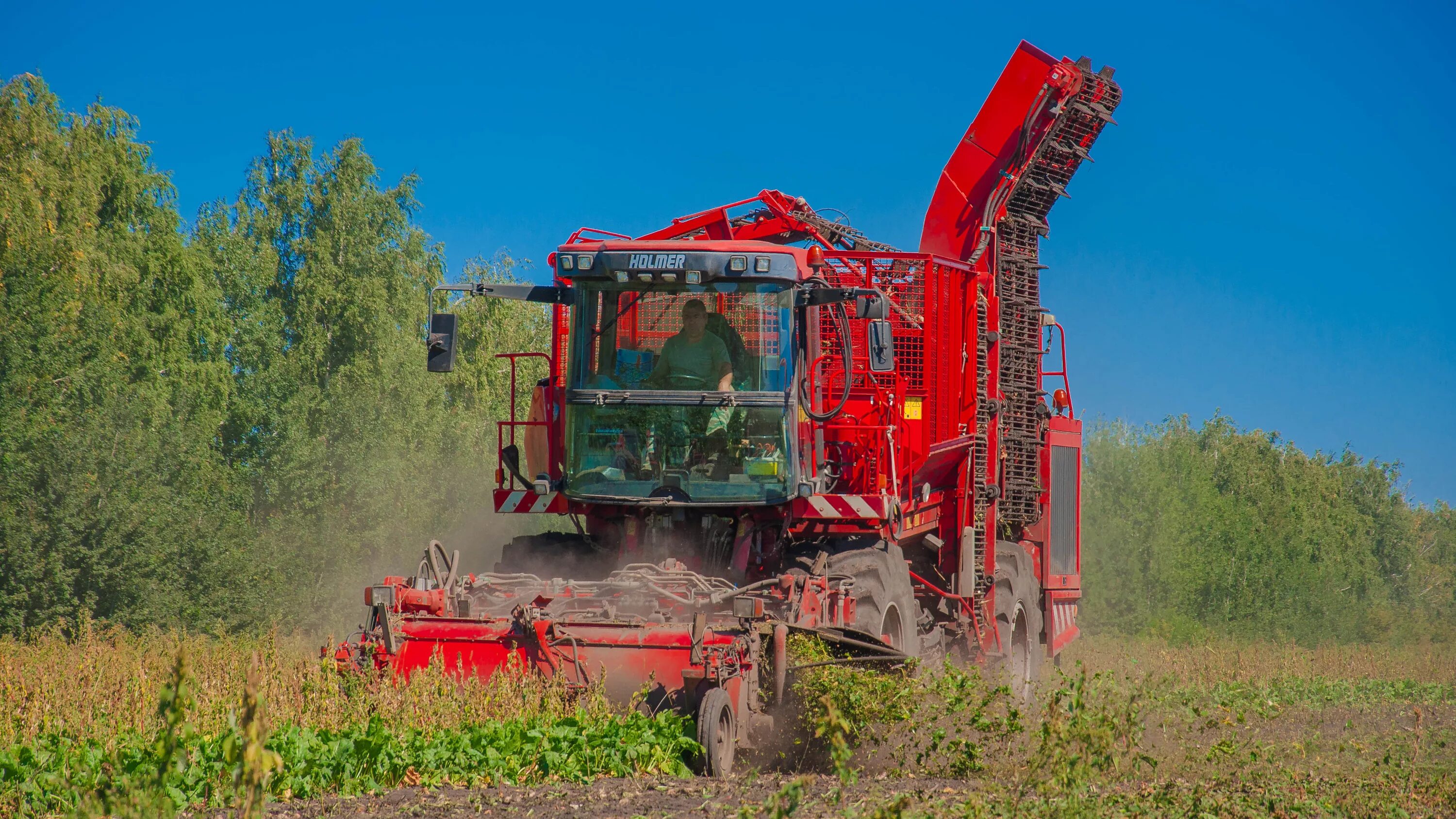 Агрофирма культура брянск. Агрофирма княжево угличский район. Спк агрофирма. Спк агрофирма восточное советский район. Спк агрофирма.