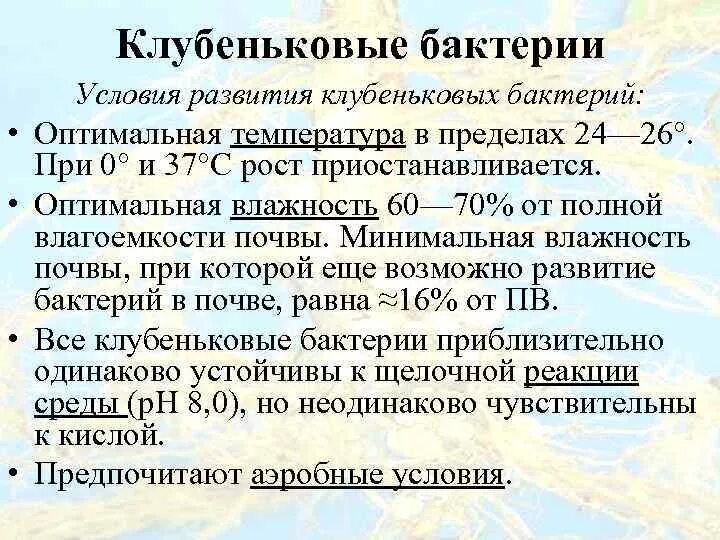 Клубеньковые бактерии значение. Клубеньковые бактерии 5 класс биология. Клубеньковые бактерии презентация. Клубеньковые бактерии значение в природе.