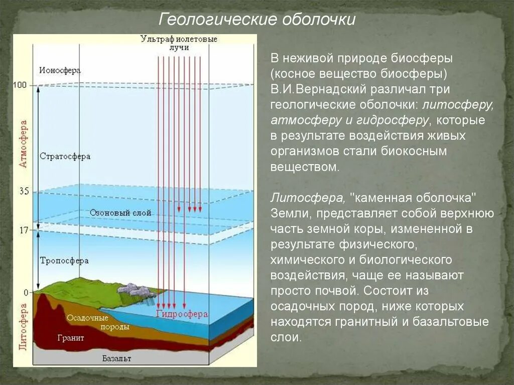 Тропосфера живые организмы