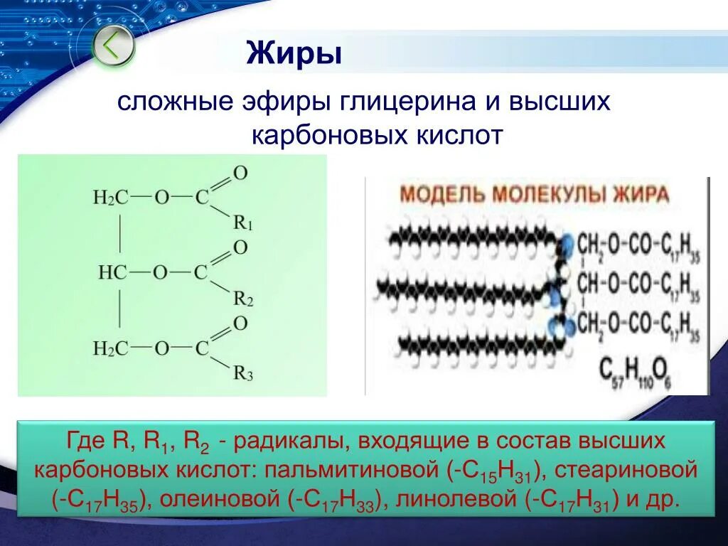 Сложные эфиры глицерина и высших карбоновых кислот. Жиры это сложные эфиры глицерина и высших. Жиры - эфиры глицерина и карбоновых кислот. Сложные эфиры глицерина и непредельных высших карбоновых кислот. Жиры и вода являются