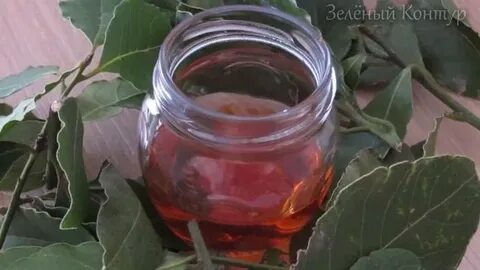 Лавровый лист для выкидыша