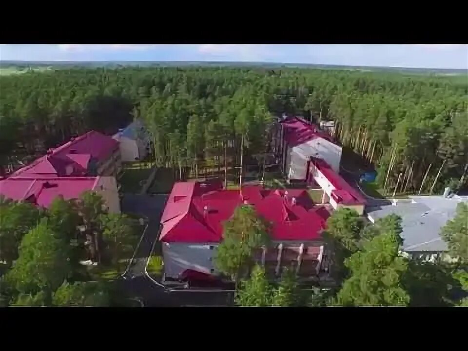 Звездная академия лагерь. Star лого. Конкурс патриотической песни красная гвоздика. Академия звезд красная гвоздика. Академия звезд красная гвоздика.