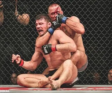 Сколько побед одержал