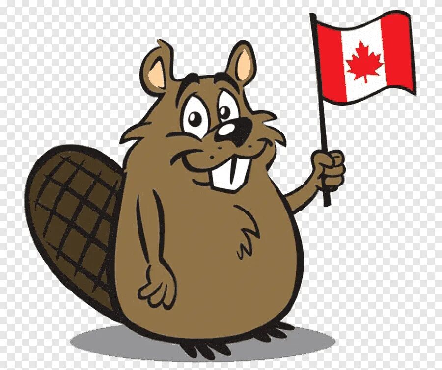 Герб с бобром. Бобр символ Канады. Канадский Бобр символ Канады. Бобр флаг. Канадский бобер символ.